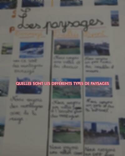 Quelles sont les différents types de paysages ?