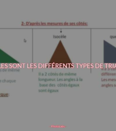 Quelles sont les différents types de triangle ?