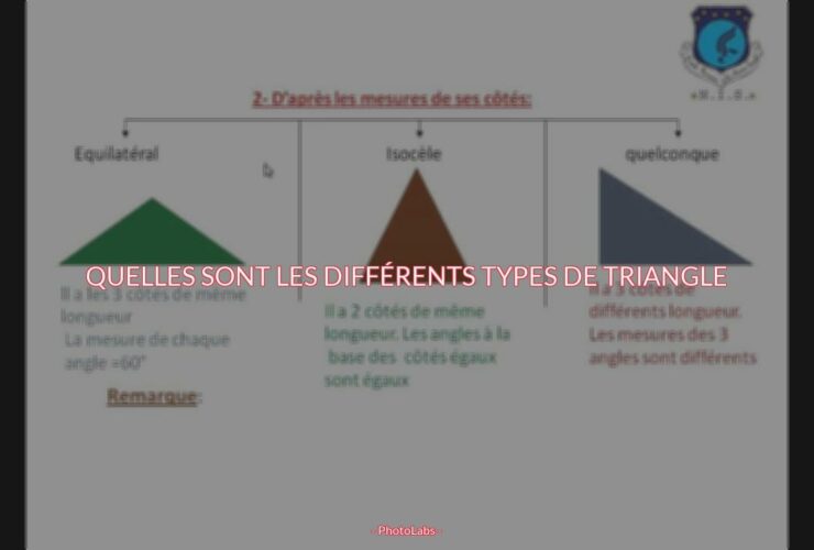 Quelles sont les différents types de triangle ?