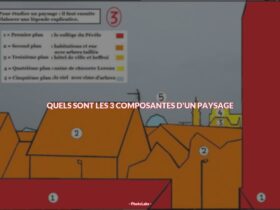 Quels sont les 3 composantes d'un paysage ?