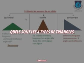 Quels sont les 4 types de triangles ?