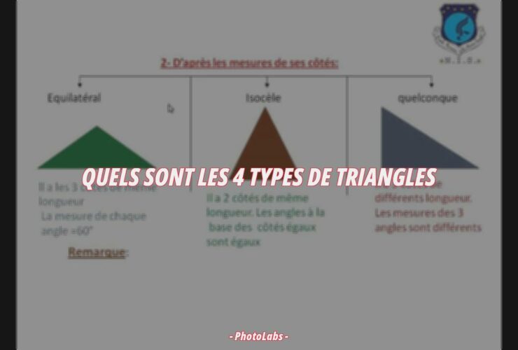 Quels sont les 4 types de triangles ?