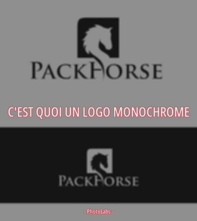 C'est quoi un logo monochrome ?