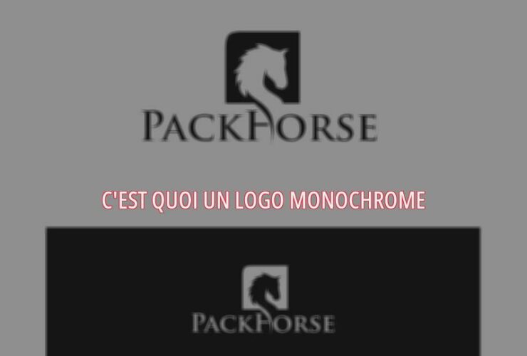 C'est quoi un logo monochrome ?