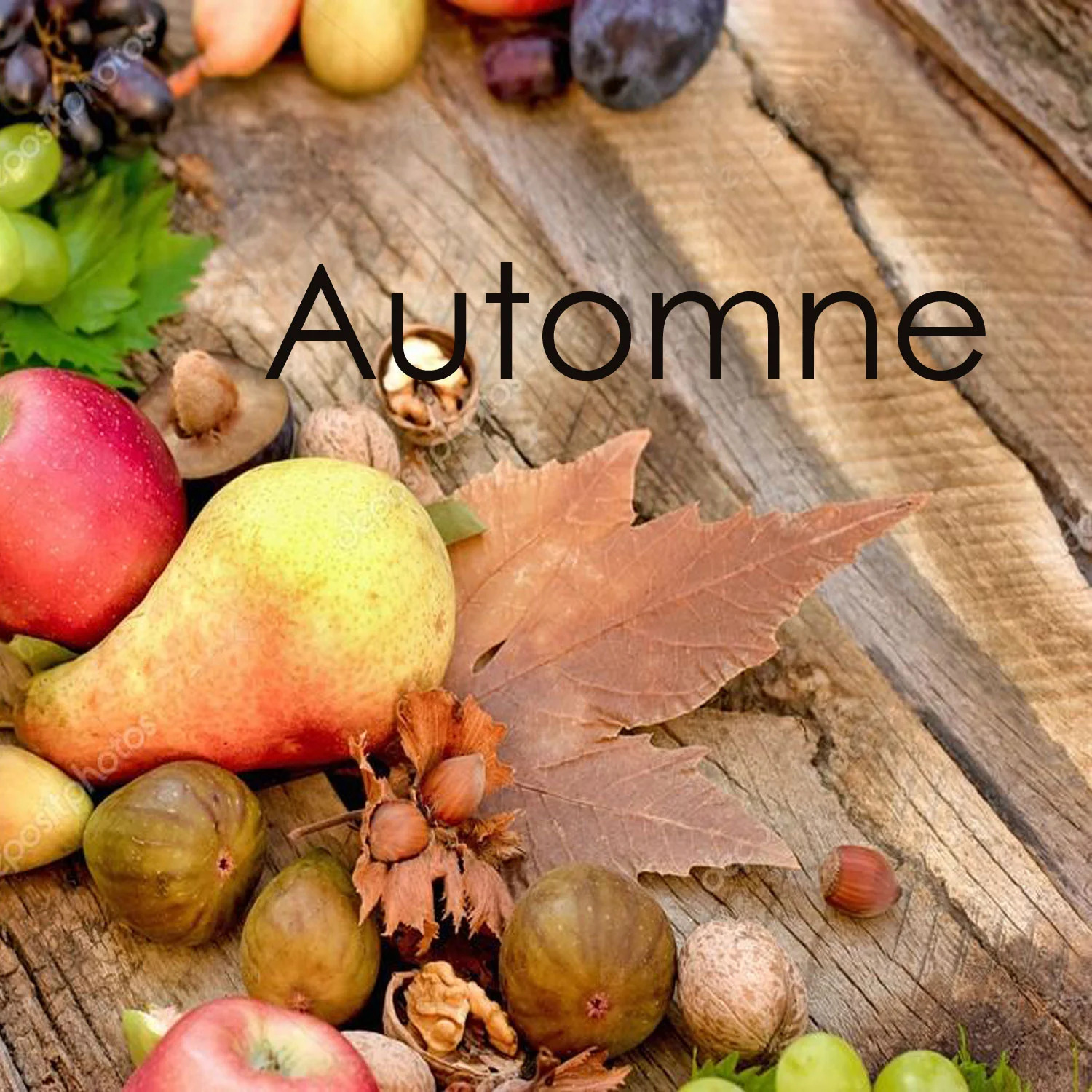Recettes d'automne - Comment bien manger en Automne