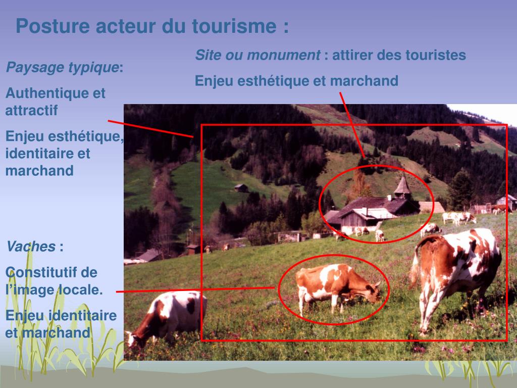 PPT - Comment définir le paysage ? PowerPoint Presentation, free download - ID:3566569
