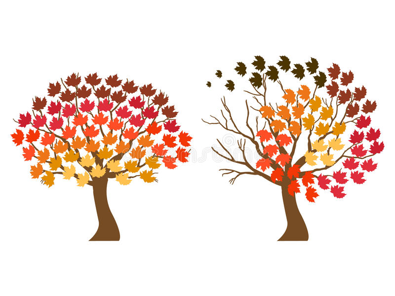 Symboles d'automne illustration stock. Illustration du détails - 29046333
