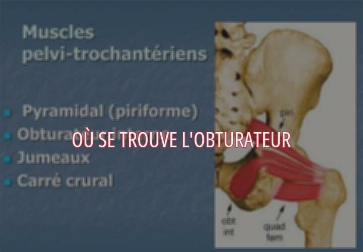 Où se trouve l'obturateur ?