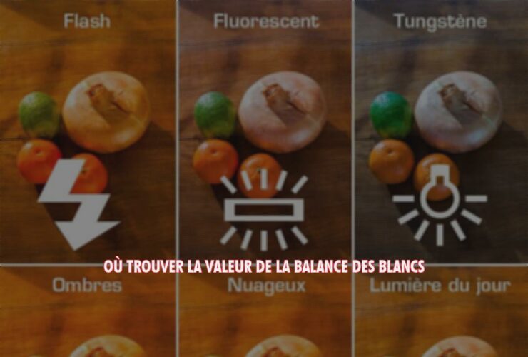 Où trouver la valeur de la balance des blancs ?