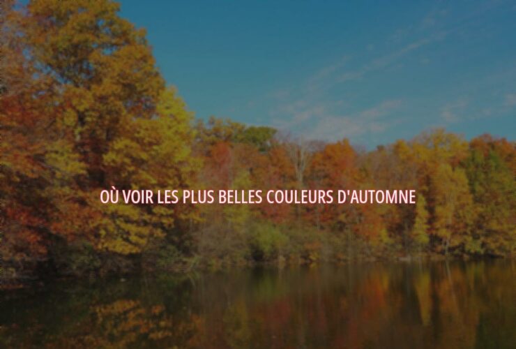 Où voir les plus belles couleurs d'automne ?